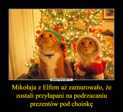 Mikołaja z Elfem aż zamurowało, że zostali przyłapani na podrzucaniu prezentów pod choinkę