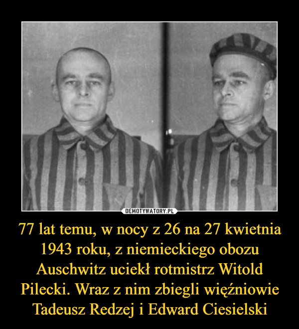 77 lat temu, w nocy z 26 na 27 kwietnia 1943 roku, z niemieckiego obozu Auschwitz uciekł rotmistrz Witold Pilecki. Wraz z nim zbiegli więźniowie Tadeusz Redzej i Edward Ciesielski –  