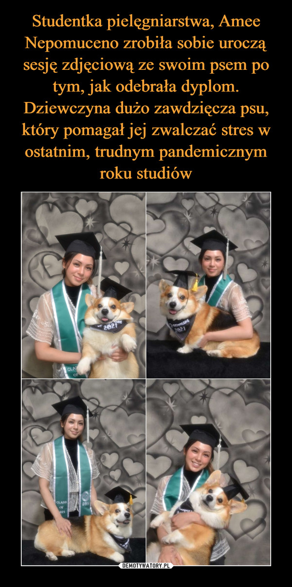 Studentka pielęgniarstwa, Amee Nepomuceno zrobiła sobie uroczą sesję zdjęciową ze swoim psem po tym, jak odebrała dyplom. Dziewczyna dużo zawdzięcza psu, który pomagał jej zwalczać stres w ostatnim, trudnym pandemicznym roku studiów
