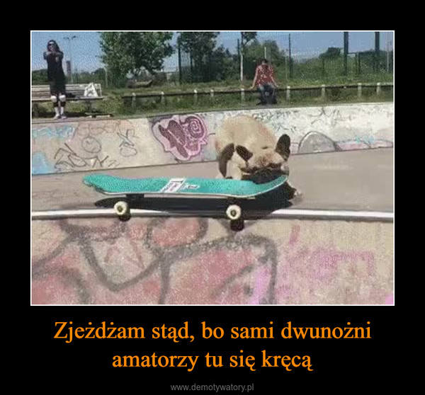Zjeżdżam stąd, bo sami dwunożni amatorzy tu się kręcą –  