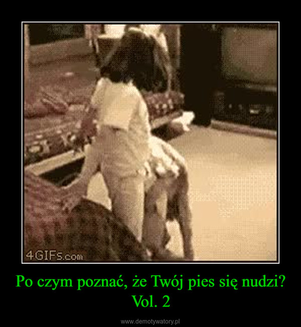Po czym poznać, że Twój pies się nudzi? Vol. 2 –  