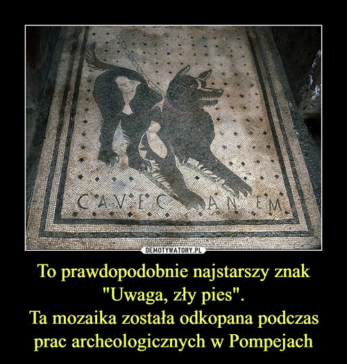 To prawdopodobnie najstarszy znak "Uwaga, zły pies".
Ta mozaika została odkopana podczas prac archeologicznych w Pompejach