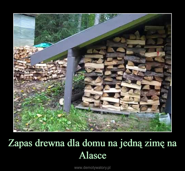 Zapas drewna dla domu na jedną zimę na Alasce –  