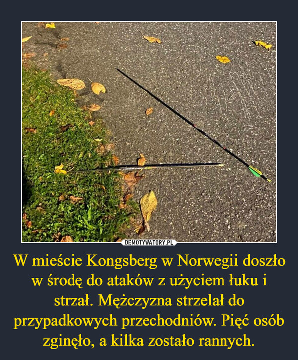 W mieście Kongsberg w Norwegii doszło w środę do ataków z użyciem łuku i strzał. Mężczyzna strzelał do przypadkowych przechodniów. Pięć osób zginęło, a kilka zostało rannych. –  