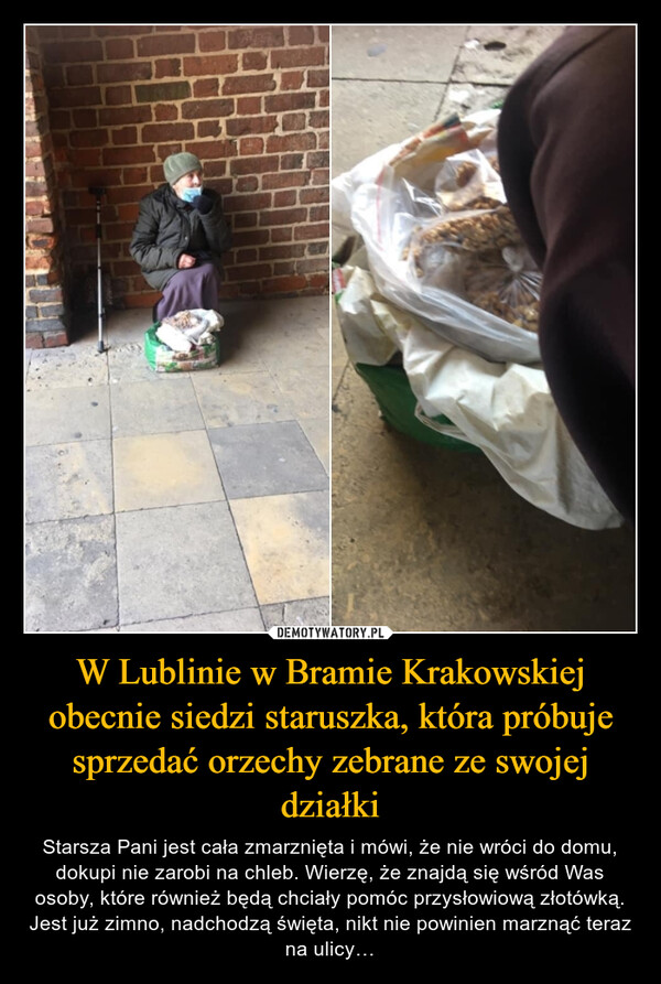 W Lublinie w Bramie Krakowskiej obecnie siedzi staruszka, która próbuje sprzedać orzechy zebrane ze swojej działki