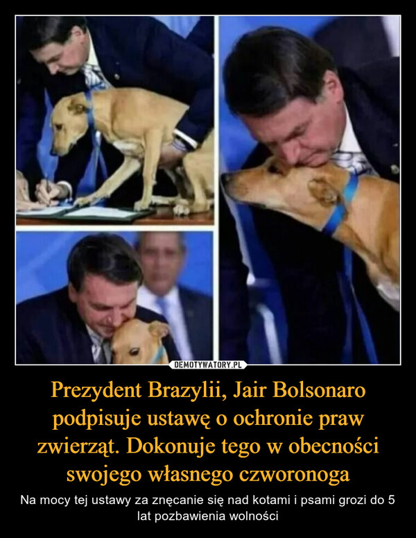 Prezydent Brazylii, Jair Bolsonaro podpisuje ustawę o ochronie praw zwierząt. Dokonuje tego w obecności swojego własnego czworonoga