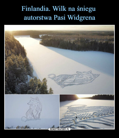 Finlandia. Wilk na śniegu 
autorstwa Pasi Widgrena