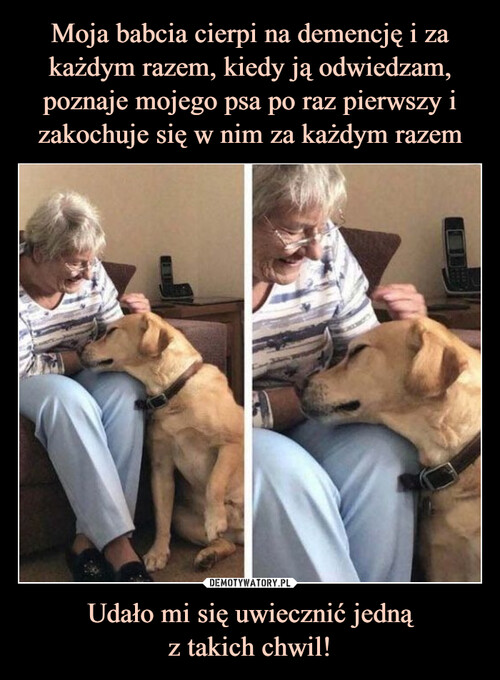 Moja babcia cierpi na demencję i za każdym razem, kiedy ją odwiedzam, poznaje mojego psa po raz pierwszy i zakochuje się w nim za każdym razem Udało mi się uwiecznić jedną
z takich chwil!