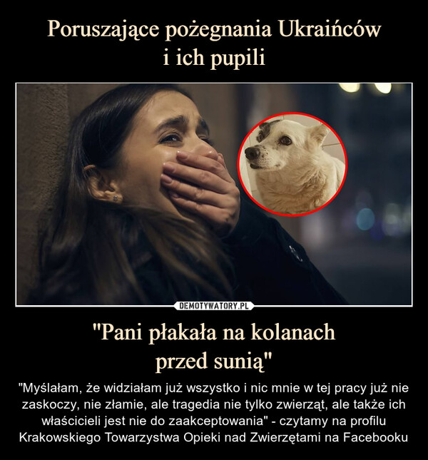 ''Pani płakała na kolanachprzed sunią" – "Myślałam, że widziałam już wszystko i nic mnie w tej pracy już nie zaskoczy, nie złamie, ale tragedia nie tylko zwierząt, ale także ich właścicieli jest nie do zaakceptowania" - czytamy na profilu Krakowskiego Towarzystwa Opieki nad Zwierzętami na Facebooku 