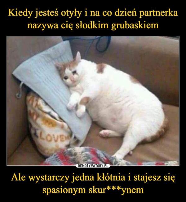 Ale wystarczy jedna kłótnia i stajesz się spasionym skur***ynem –  
