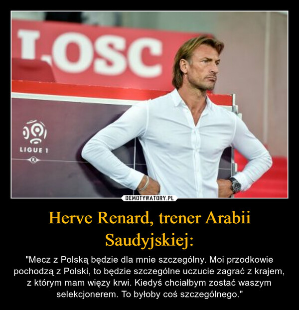Herve Renard, trener Arabii Saudyjskiej: – "Mecz z Polską będzie dla mnie szczególny. Moi przodkowie pochodzą z Polski, to będzie szczególne uczucie zagrać z krajem, z którym mam więzy krwi. Kiedyś chciałbym zostać waszym selekcjonerem. To byłoby coś szczególnego." 