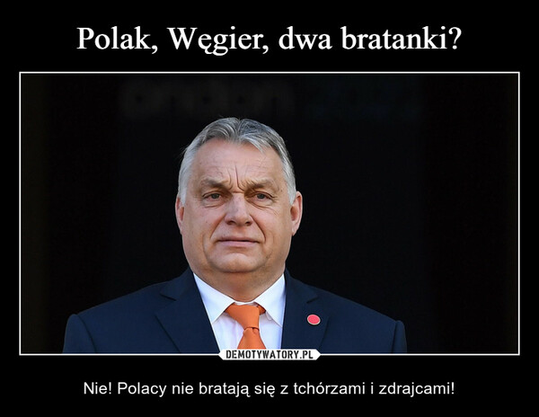  – Nie! Polacy nie bratają się z tchórzami i zdrajcami! 