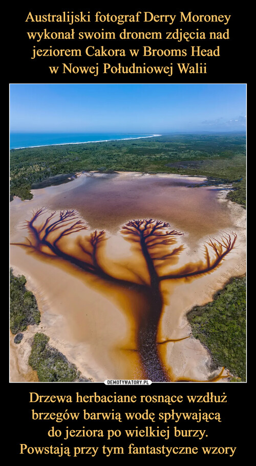 Australijski fotograf Derry Moroney wykonał swoim dronem zdjęcia nad jeziorem Cakora w Brooms Head 
w Nowej Południowej Walii Drzewa herbaciane rosnące wzdłuż brzegów barwią wodę spływającą 
do jeziora po wielkiej burzy.
Powstają przy tym fantastyczne wzory