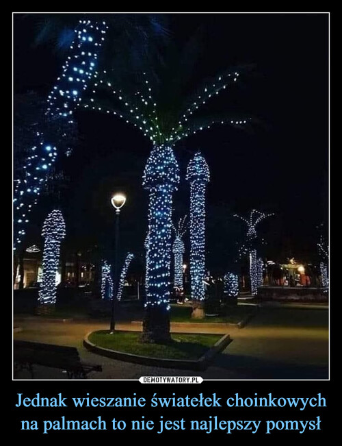 Jednak wieszanie światełek choinkowych na palmach to nie jest najlepszy pomysł