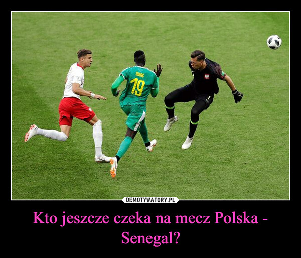 Kto jeszcze czeka na mecz Polska - Senegal? –  