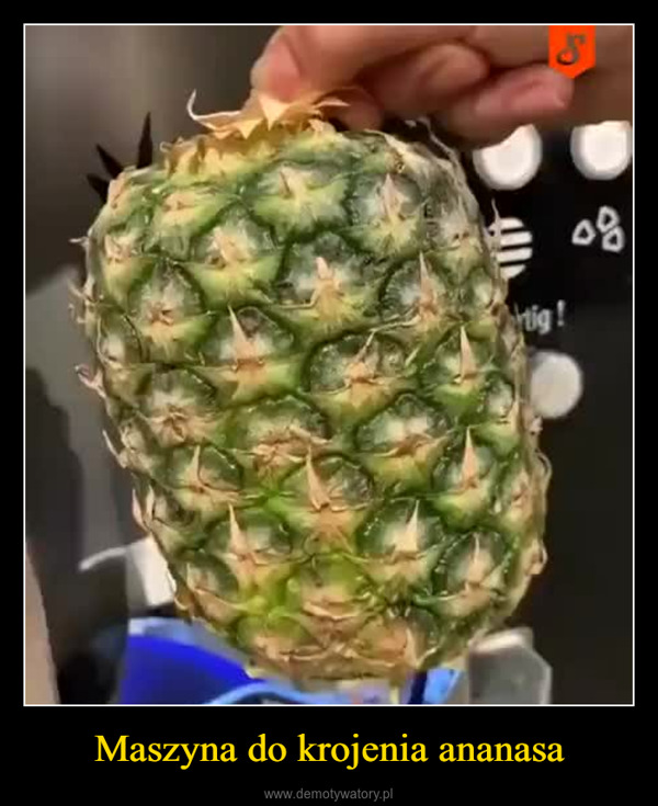 Maszyna do krojenia ananasa –  