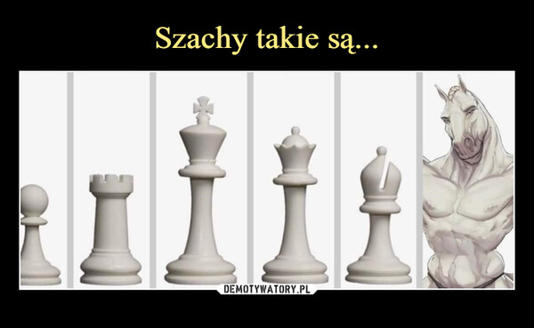  –  Chess sets be like