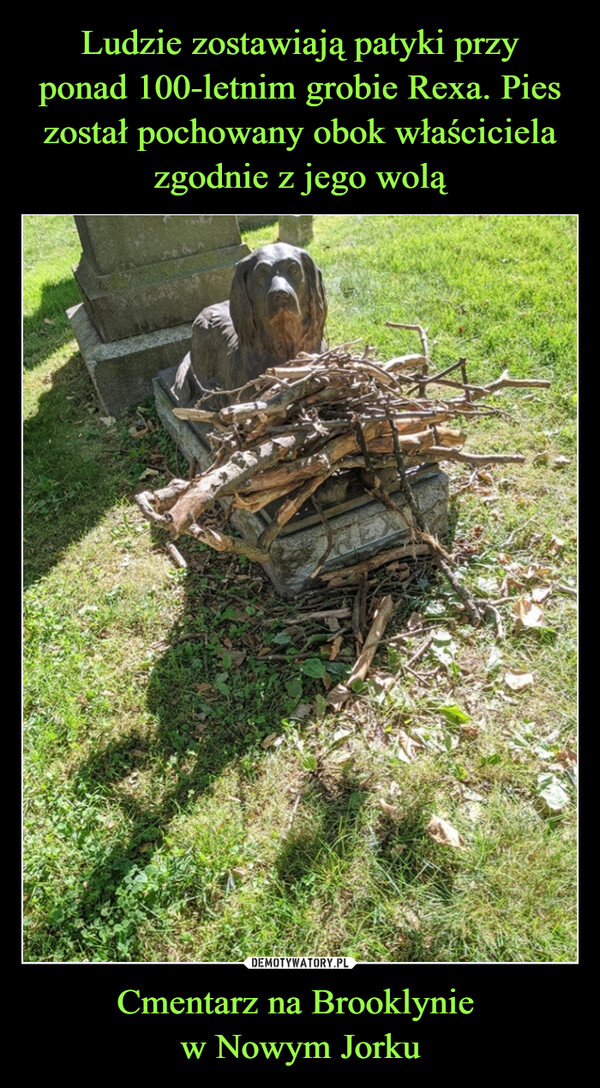Ludzie zostawiają patyki przy
ponad 100-letnim grobie Rexa. Pies został pochowany obok właściciela
zgodnie z jego wolą Cmentarz na Brooklynie 
w Nowym Jorku