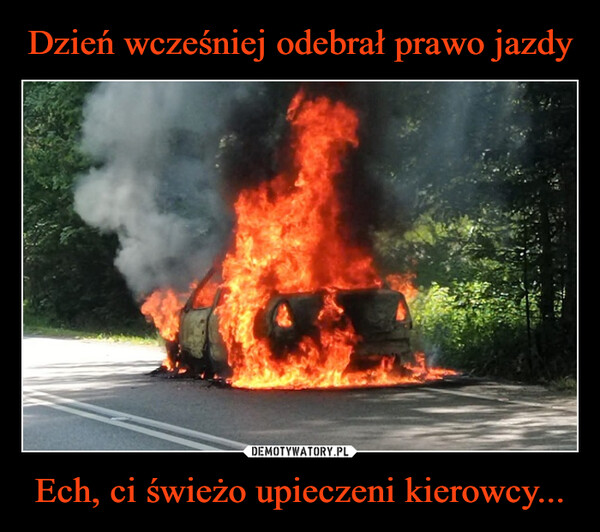 Ech, ci świeżo upieczeni kierowcy... –  