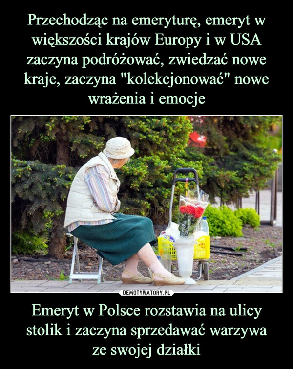 Emeryt w Polsce rozstawia na ulicy stolik i zaczyna sprzedawać warzywaze swojej działki –  