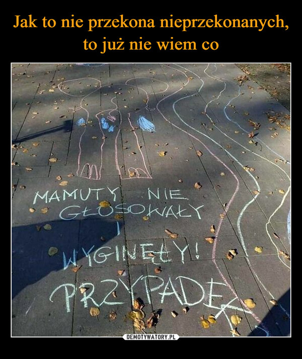  –  MAMUTYNIEGŁOSOWAŁYWYGINELY!PRZYPADE