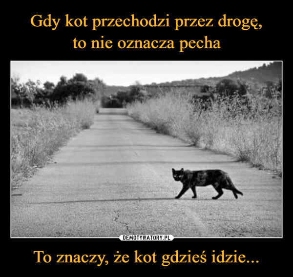 Gdy kot przechodzi przez drogę,
to nie oznacza pecha To znaczy, że kot gdzieś idzie...