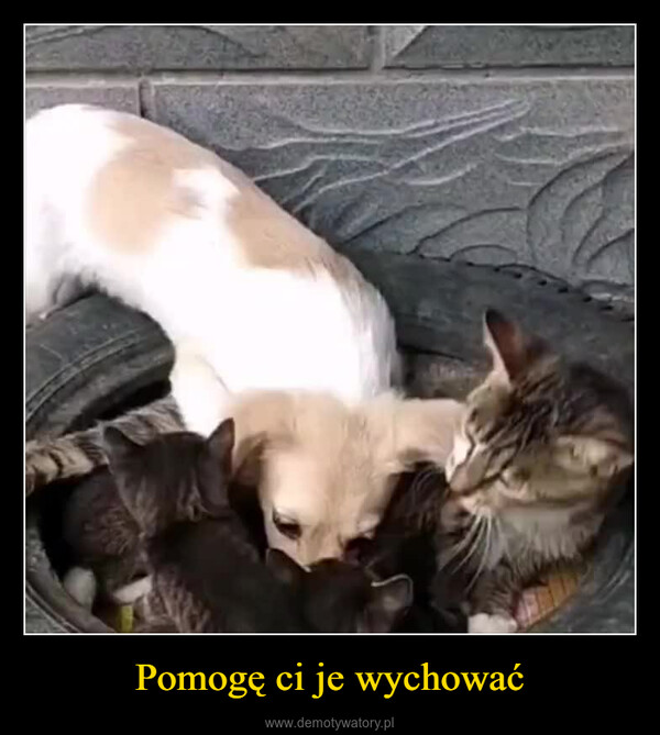 Pomogę ci je wychować –  
