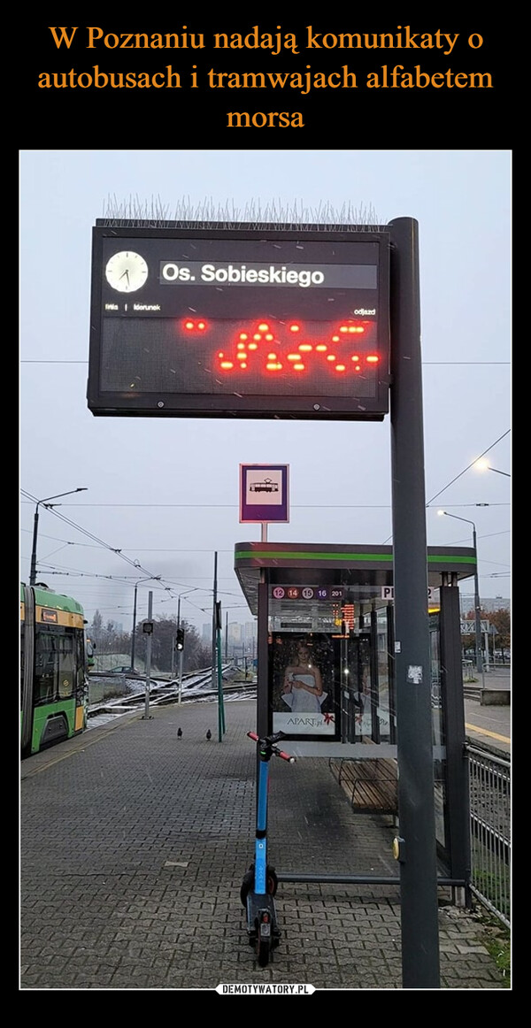 W Poznaniu nadają komunikaty o autobusach i tramwajach alfabetem morsa