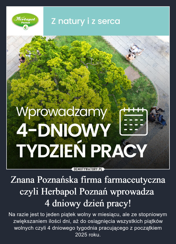 Znana Poznańska firma farmaceutyczna czyli Herbapol Poznań wprowadza 
4 dniowy dzień pracy!