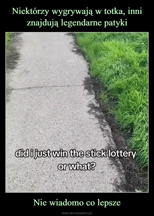 Nie wiadomo co lepsze –  did i just win the stick lotteryor what?