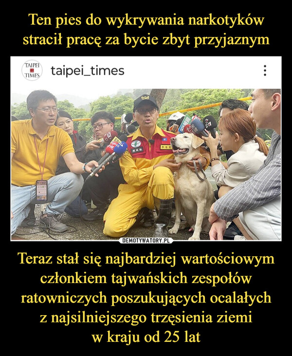 Ten pies do wykrywania narkotyków stracił pracę za bycie zbyt przyjaznym Teraz stał się najbardziej wartościowym członkiem tajwańskich zespołów ratowniczych poszukujących ocalałych
z najsilniejszego trzęsienia ziemi
w kraju od 25 lat