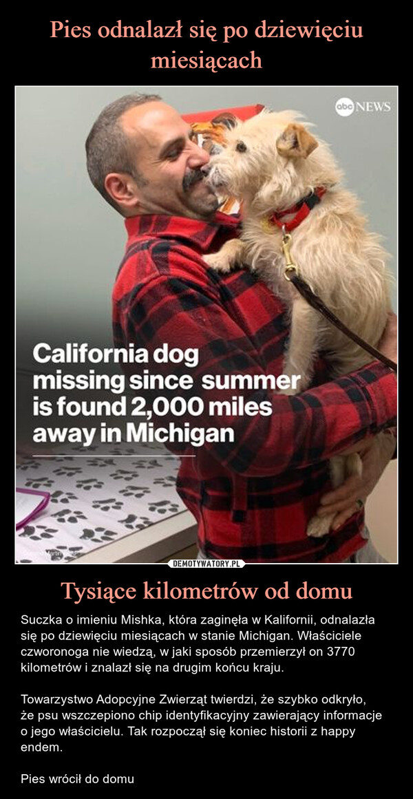 Pies odnalazł się po dziewięciu miesiącach Tysiące kilometrów od domu