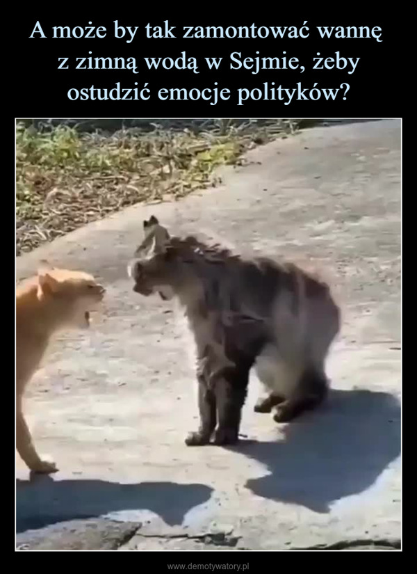  –  
