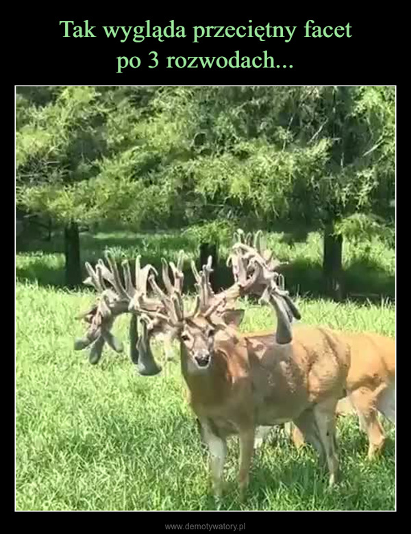  –  