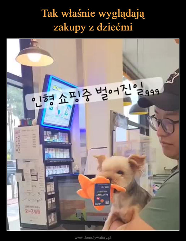  –  인형 쇼핑중 벌어진일.29992~3개월12