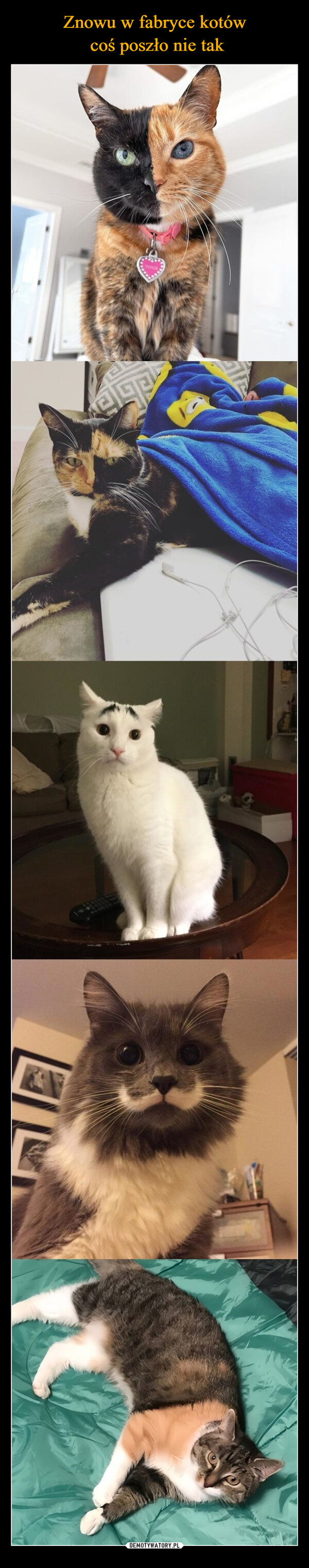  –  