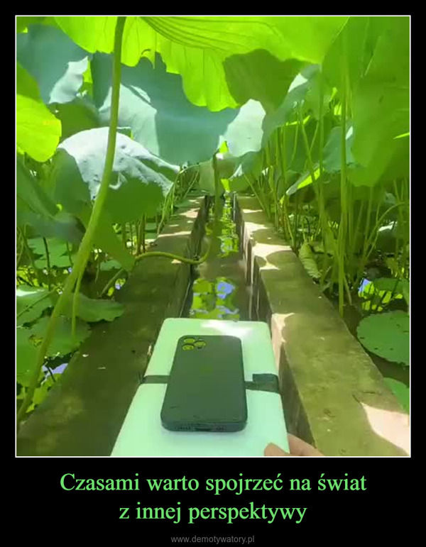Czasami warto spojrzeć na światz innej perspektywy –  
